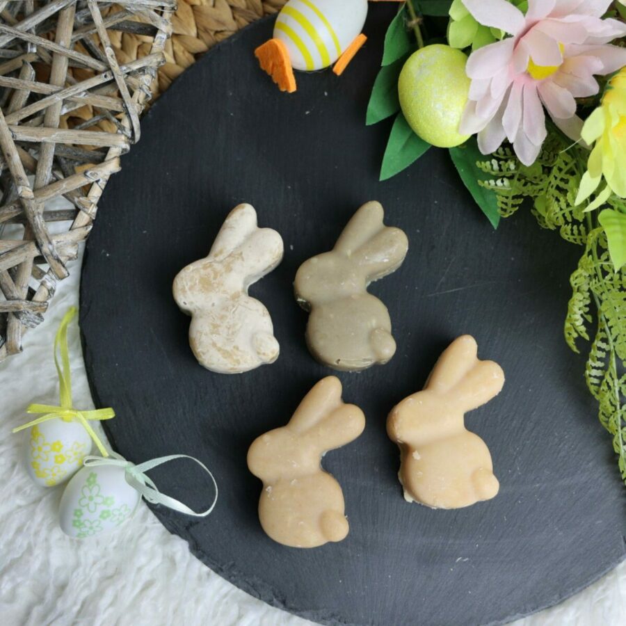 Lapins de Pâques SALEA