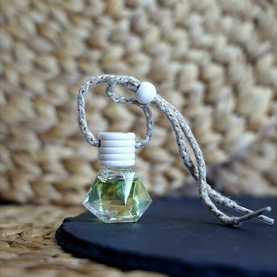 Diffuseur de Parfum d'Ambiance