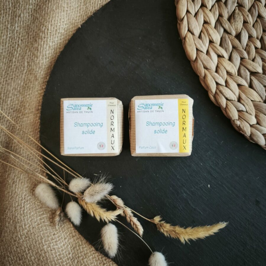 shampooing solide pour cheveux normaux